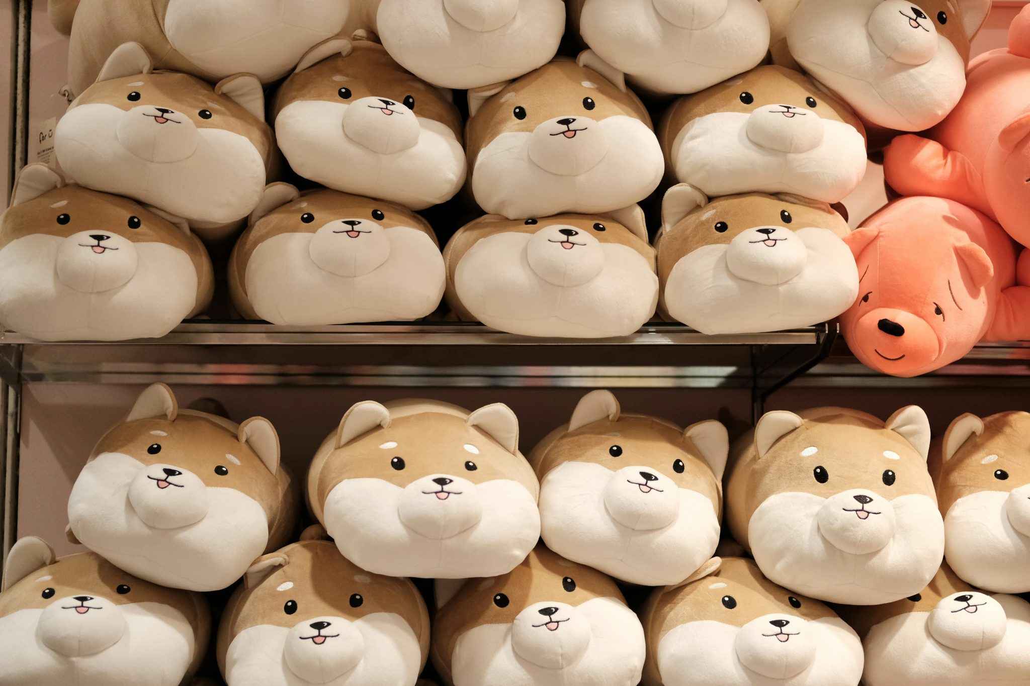 いらないぬいぐるみ 寄付 シナモロールぬいぐるみ]買わない人の